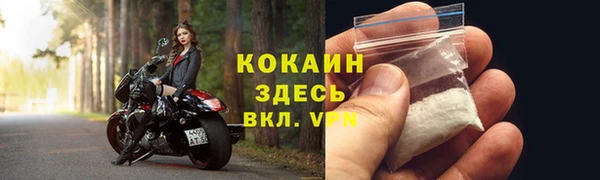 крисы Лагань