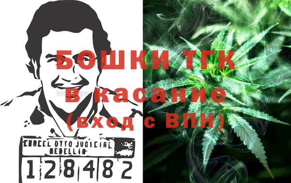 ПСИЛОЦИБИНОВЫЕ ГРИБЫ Кулебаки