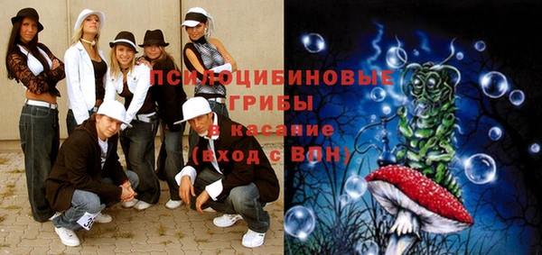 2c-b Ладушкин