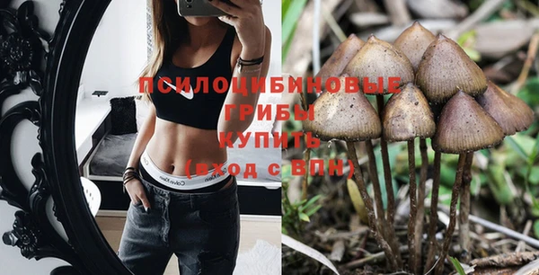 каннабис Лабытнанги