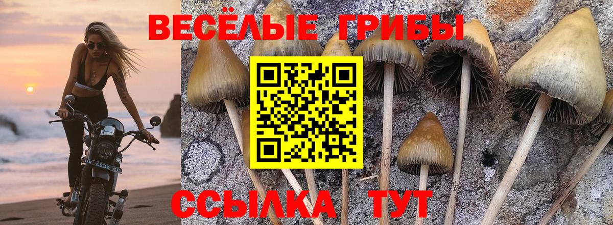 Галлюциногенные грибы мицелий Нерюнгри