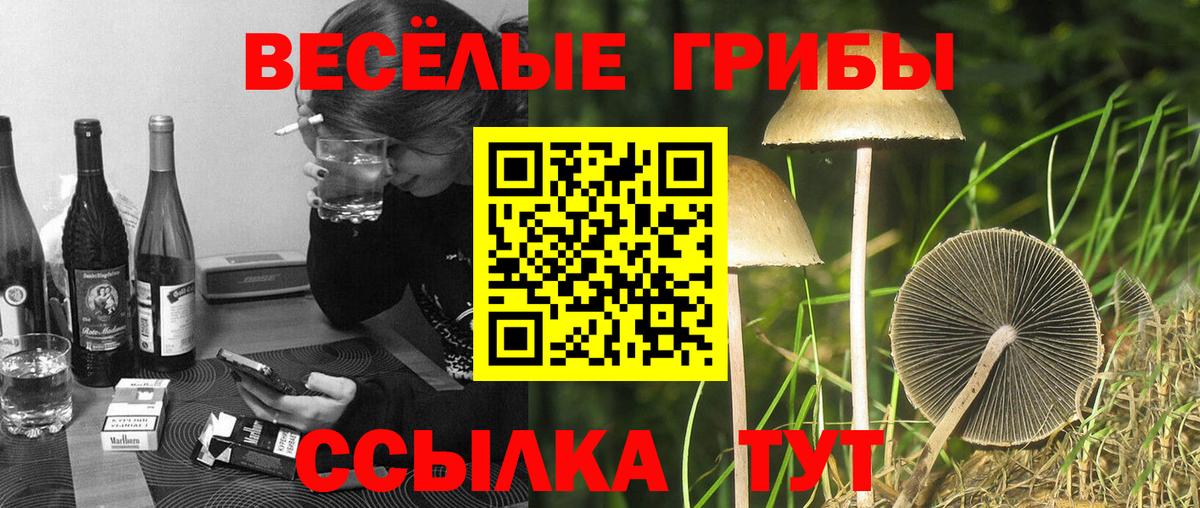 Нерюнгри  Псилоцибиновые грибы мицелий  Галлюциногенные грибы Cubensis  Вход с VPN 