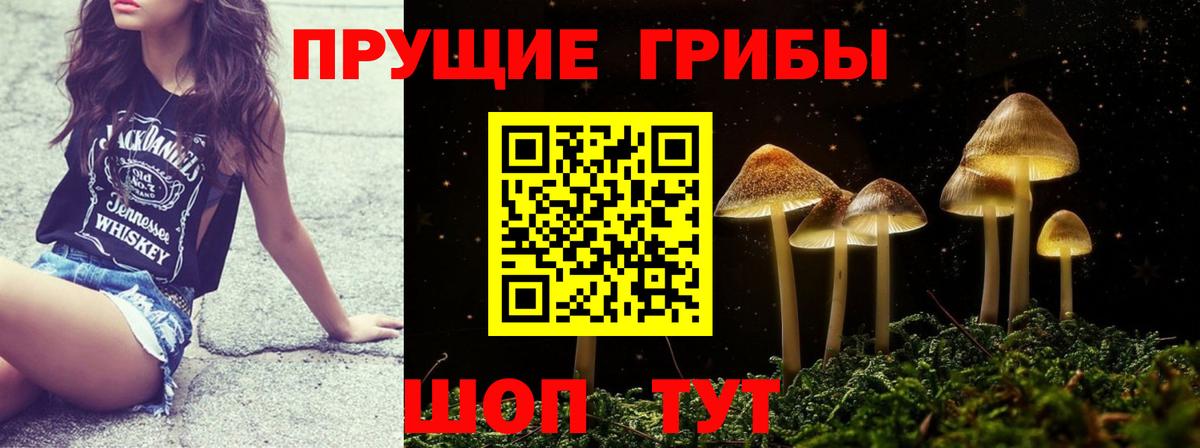 Псилоцибиновые грибы мухоморы  Нерюнгри 