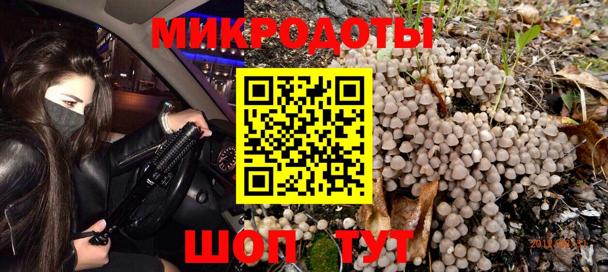 Псилоцибиновые грибы GOLDEN TEACHER Нерюнгри